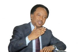  ‘Blood is becoming cheaper than water and petrol in Nigeria’- Senator Sani