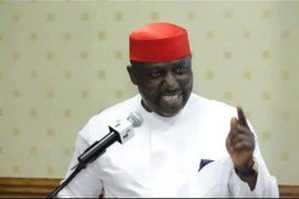  International Day of the Mother Tongue: ‘Don’t allow Igbo language to die,’ Okorocha begs Igbos