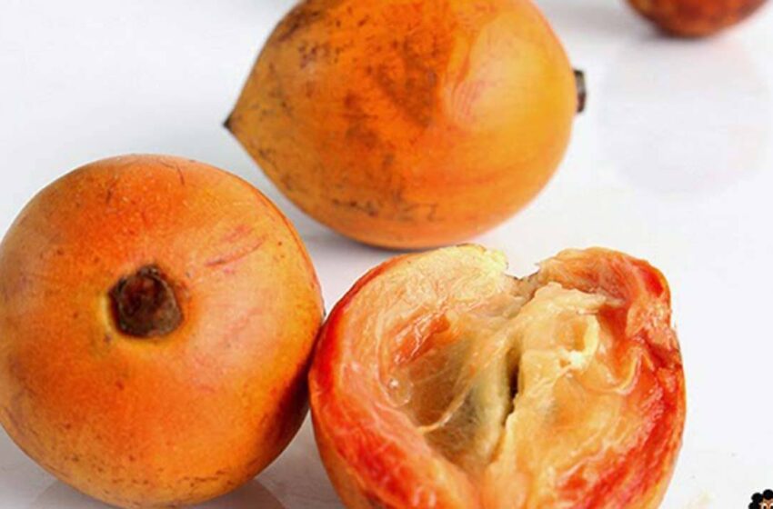  The wonderful health benefits of African Star Apple (Agbalumo)