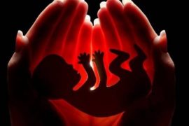  Abortion: When the womb becomes a tomb