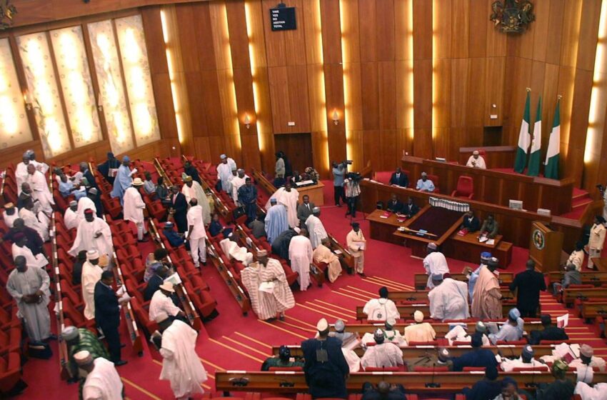  Legislative Job (A Pidgin English Poem)