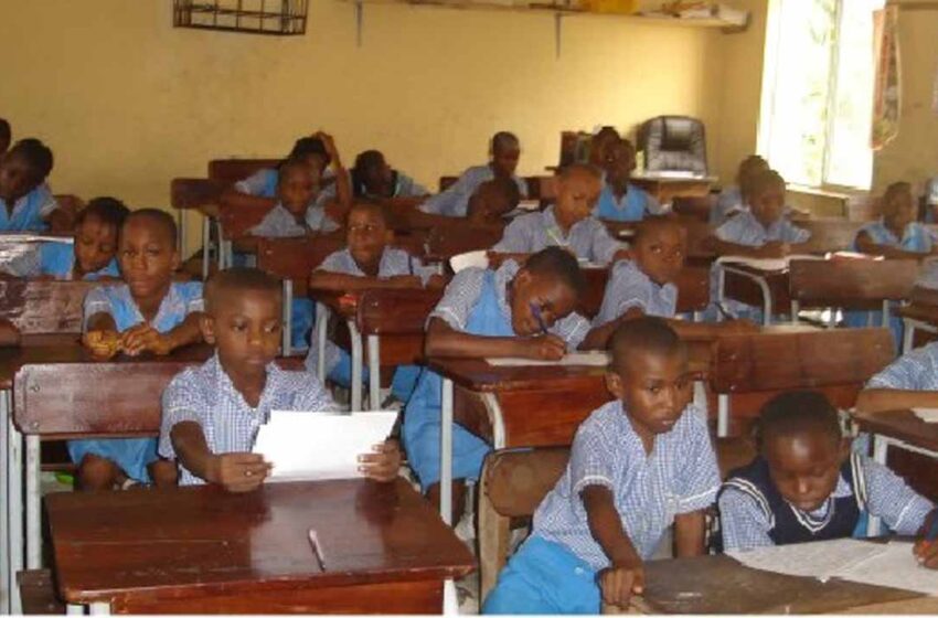  Bauchi Teacher only attended school seven times in 11 years