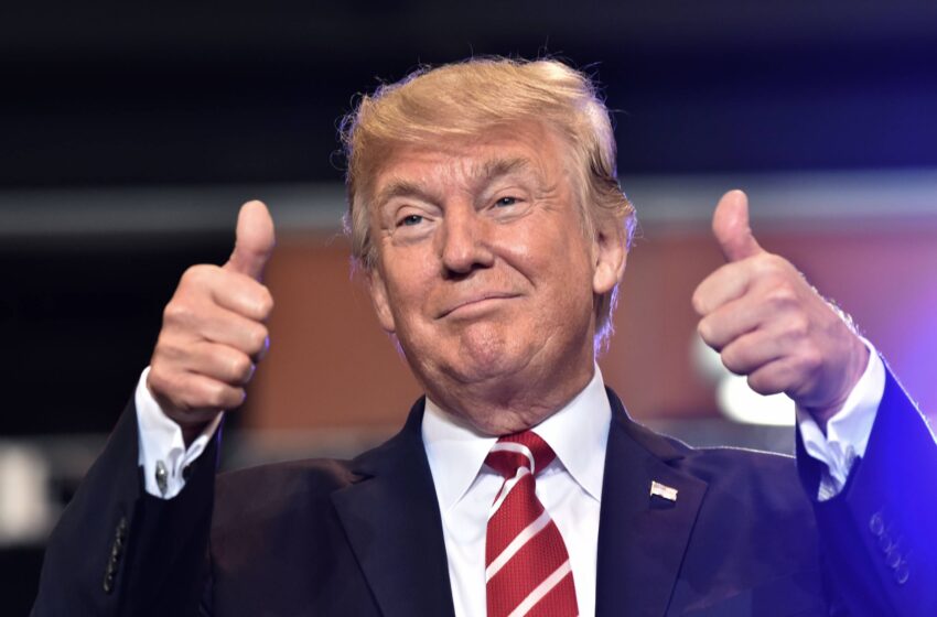  Disinfectant firm warns against use of Lysol, Dettol for COVID-19 treatment after Trump’s comment