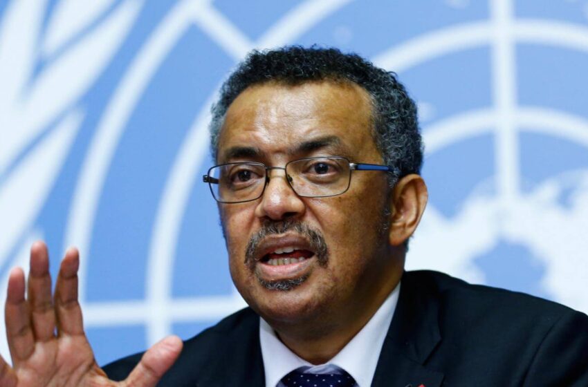  WHO declares coronavirus a pandemic as Africa grapples with outbreak
