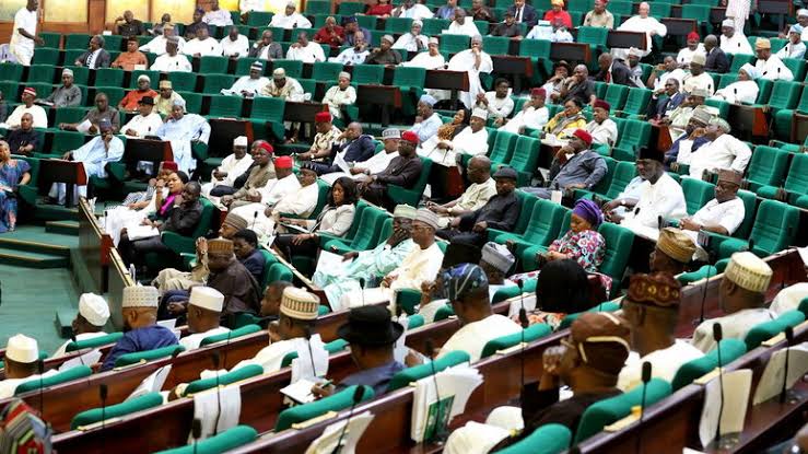  COVID-19: Reps donate two months’ salary to support fight against pandemic