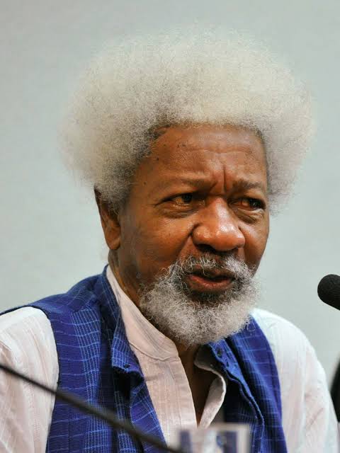  ‘We are not in a war emergency’ — Soyinka reacts to Buhari’s lockdown order