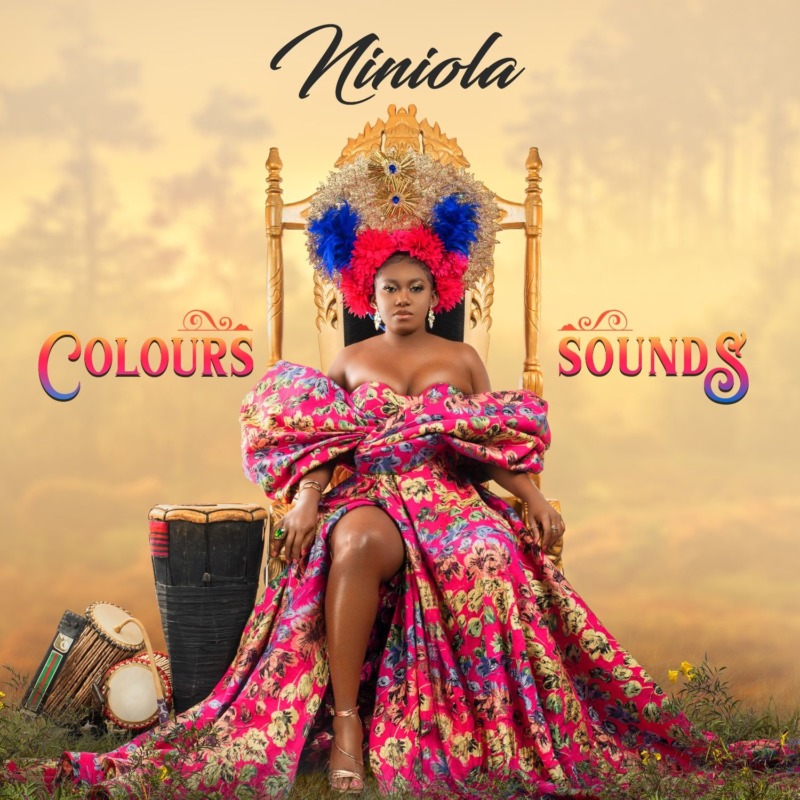  Review: Niniola Apata’s ‘Colours and Sounds’ album bridged fans’ expectations