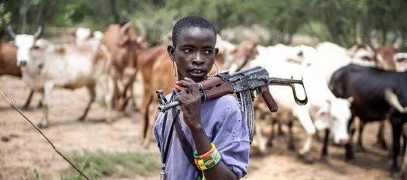  How Fulani herdsmen breed hunger in the land