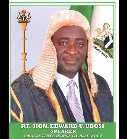  Enugu govt’s N15b loan and social media mischief makers