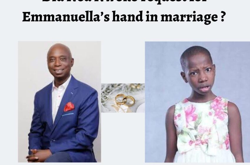  FACT CHECK: Did Ned Nwoko ask for Emmanuella’s hand in marriage?