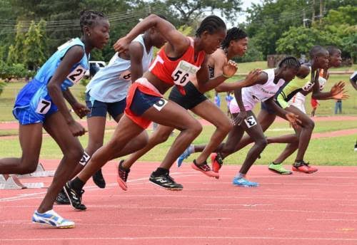 Sports development in Nigeria: Prospects, challenges and way forward