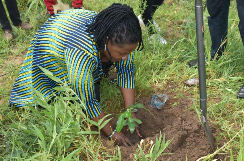 Earth Day: Why Nigerians are show more interest in environmental issues
