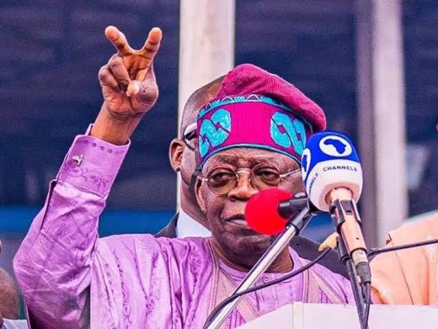  ‘He’ll perform’ | ‘No, he won’t’ — Nigerians speak ahead of Tinubu’s inauguration