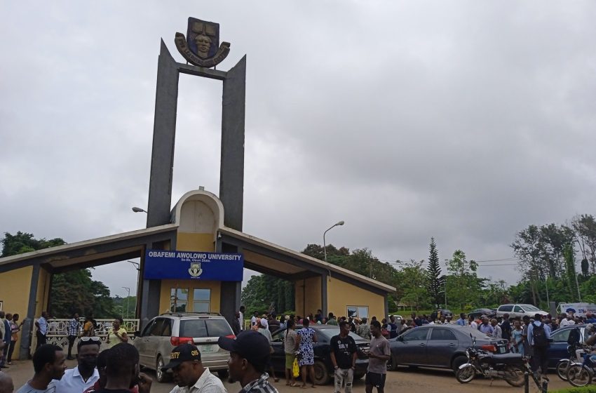  OAU, UNILAG…why Nigerian students are protesting tuition hike