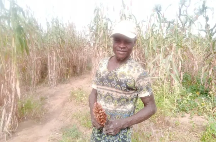  Climate change: Extension workers intervene as Sokoto’s peasant farmers lament low farm yield