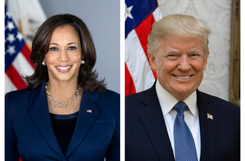  US election 2024: Trump or Harris? Here’s how Americans elect president