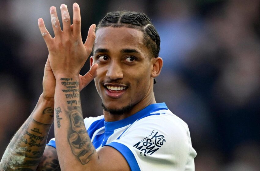 Who is João Pedro and why is Chelsea signing him? Everything you need to know