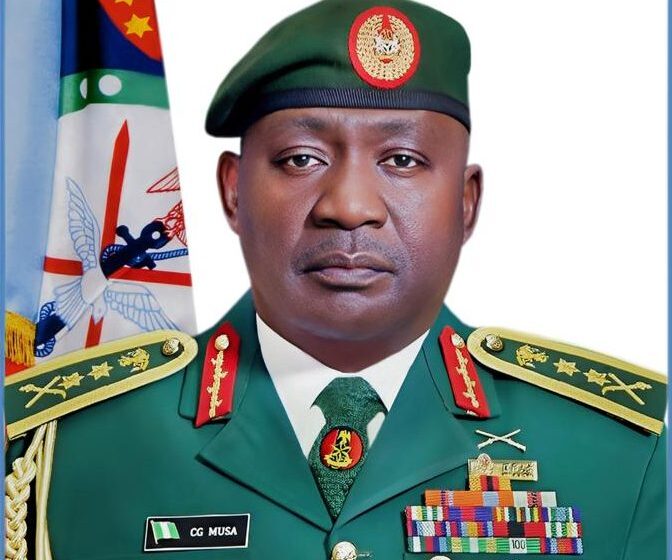 Benue killings: “The military can’t do it alone” – CDS to engage youths as vigilantes