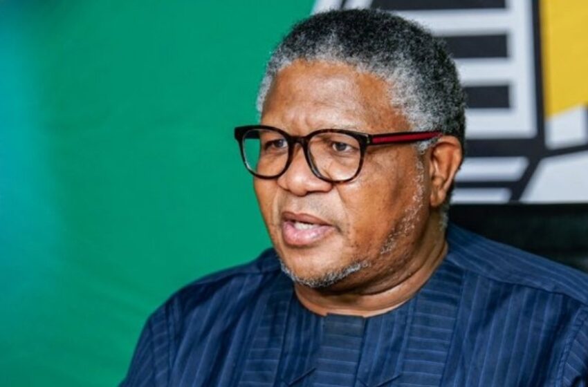 Fikile Mbalula endorses Cachalia amid SAPS reshuffle