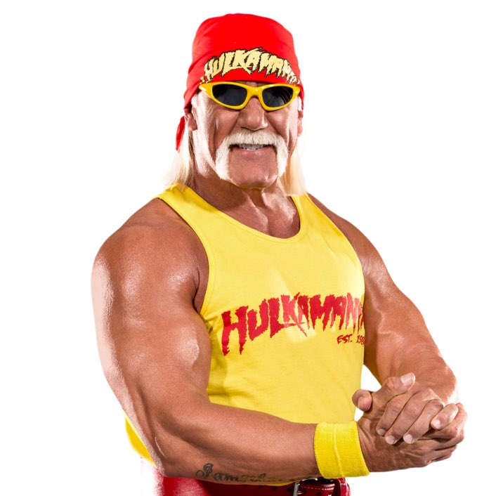 Wrestling legend, Hulk Hogan. Photo Credit- Discussing Films/X