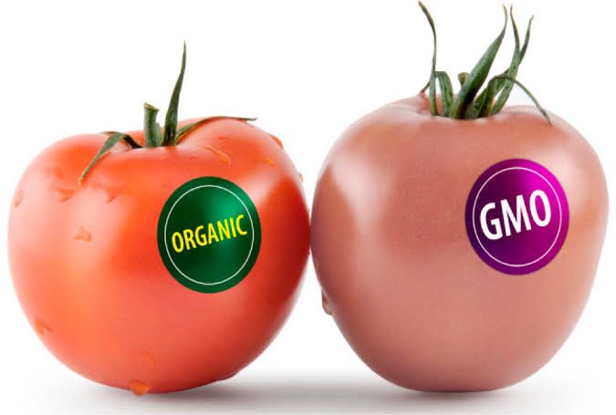 Photo illustrating the difference between organic foods and GMOs. Photo Credit- dietbloom/X