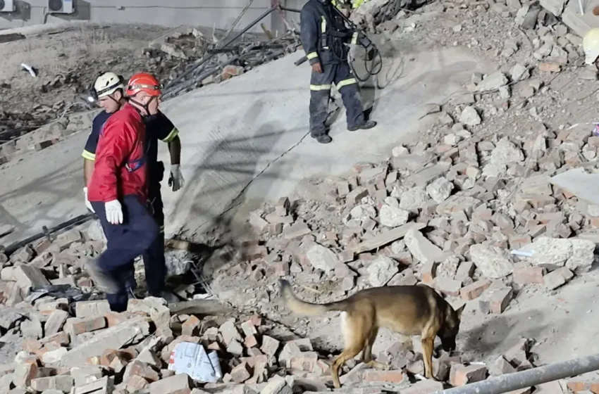 Rescue teams and sniffer dogs work at the scene of a building collapse in George, Western Cape, on 6 May 2024.