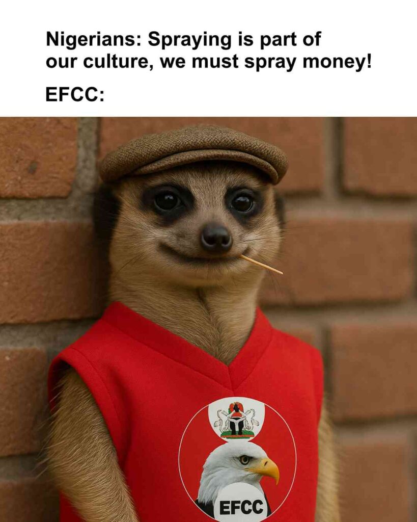 EFCC joins meerkat meme trend to warn against spraying naira at events -- what to know