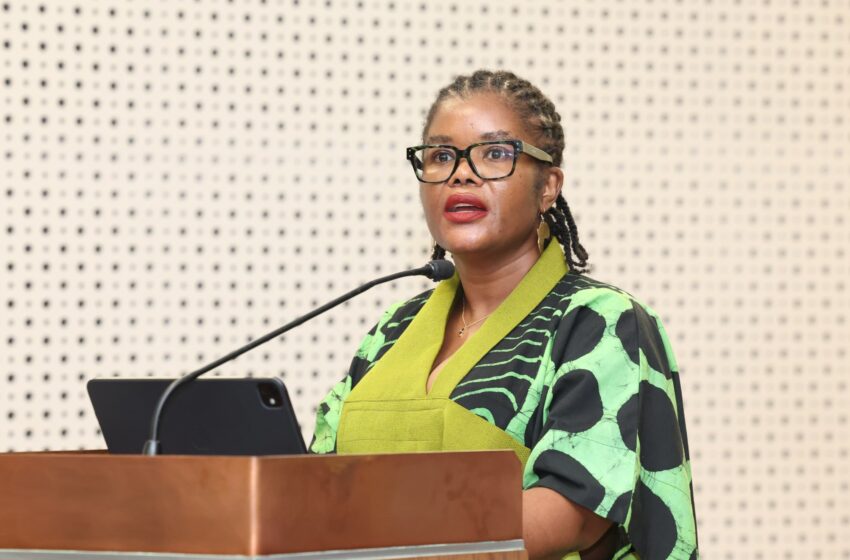 Nobuhle Nkabane skips Parliament over SETA scandal — What happens next?