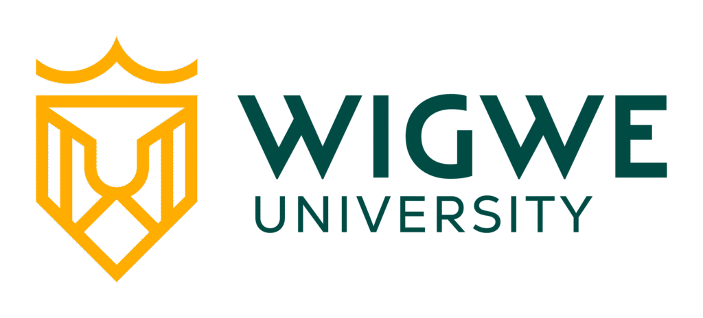 Wigwe University Merit Scholarship offers up to 60% tuition discount for 2025
