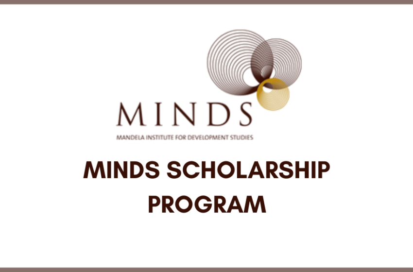 MINDS Scholarship Programme for African Students 2025: How to Apply