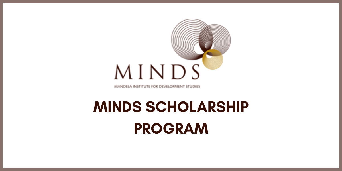 MINDS Scholarship Programme for African Students 2025: How to Apply