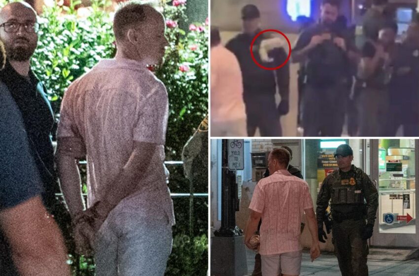 Sean Charles Dunn fired after sandwich assault on federal agent in DC.