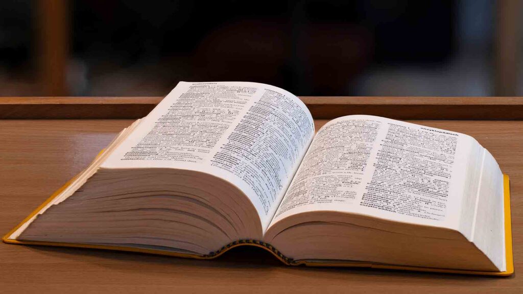 Gen Z slang “skibidi,” “delulu,” “tradwife” now in Cambridge Dictionary