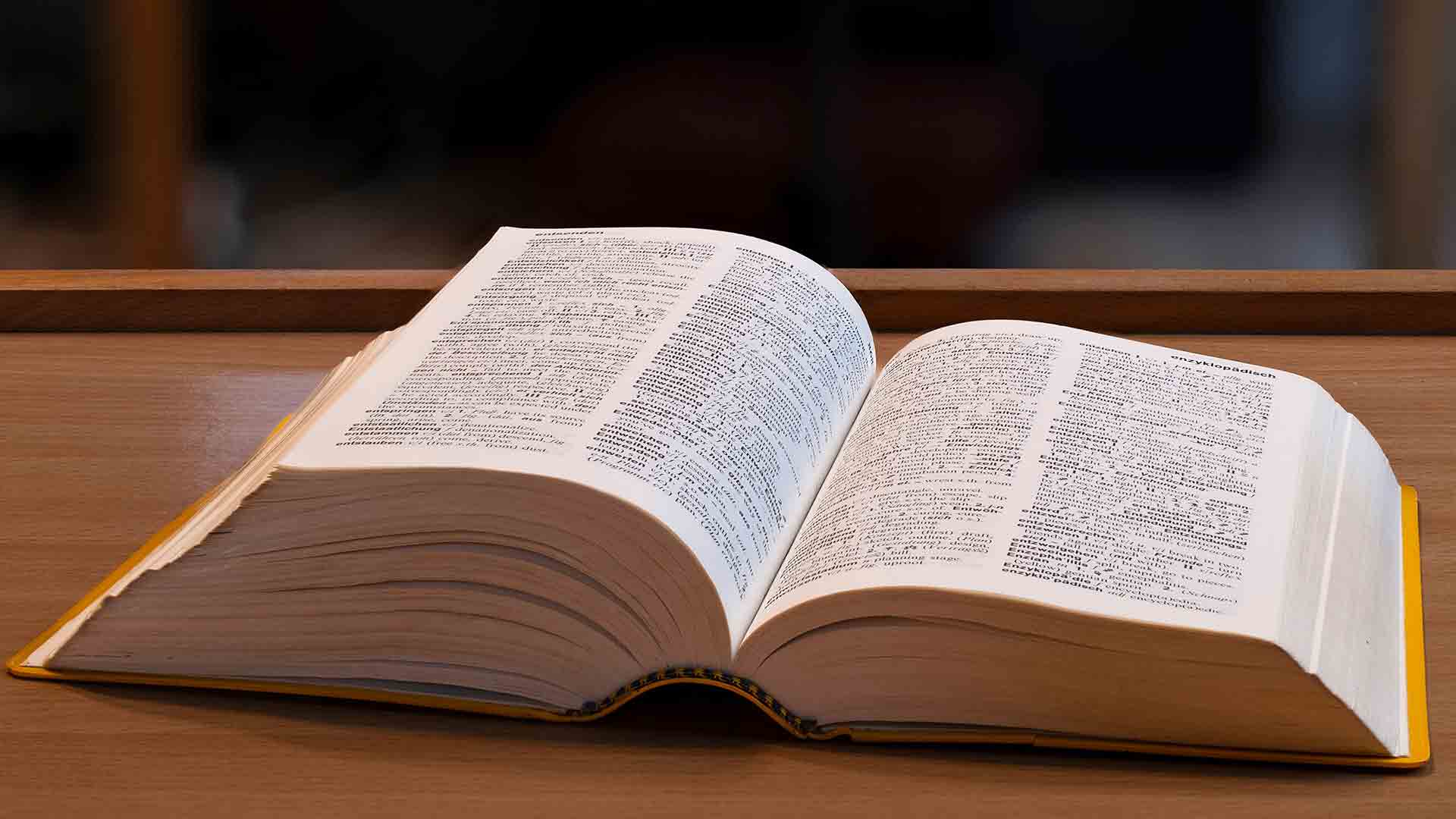 Gen Z slang “skibidi,” “delulu,” “tradwife” now in Cambridge Dictionary