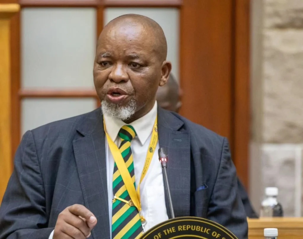Gwede Mantashe
