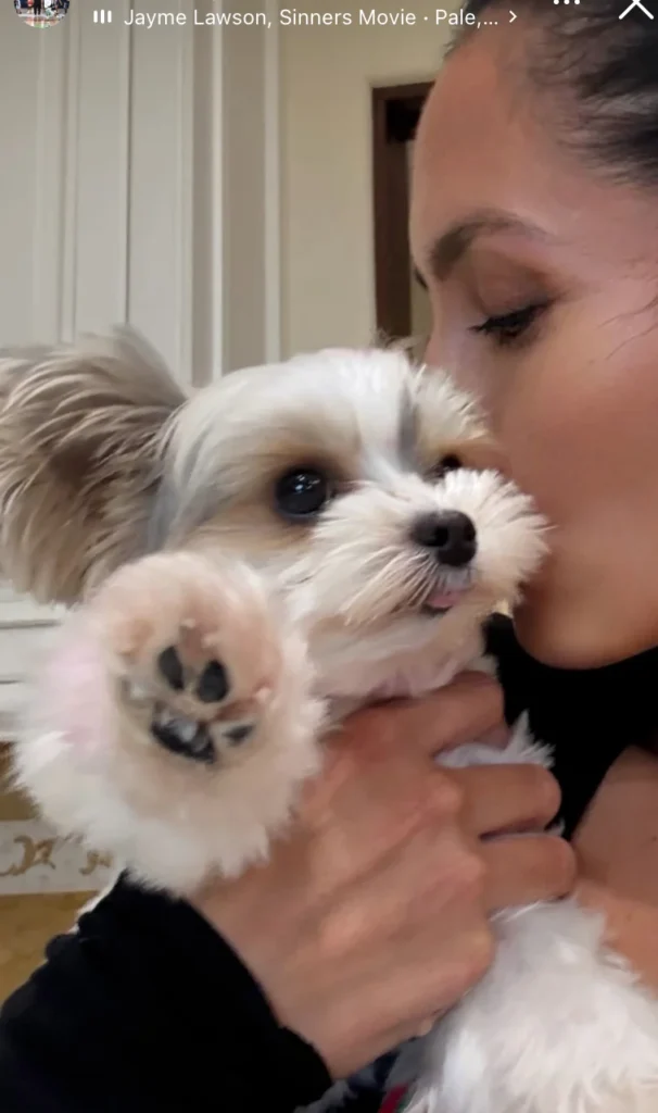 Vanessa Bryant melts hearts with sweet moment after her dog’s lipstick mishap.