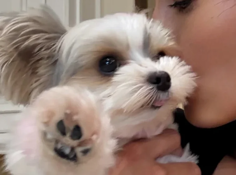  Vanessa Bryant’s dog causes lipstick chaos — and she can’t stop smiling (photos)