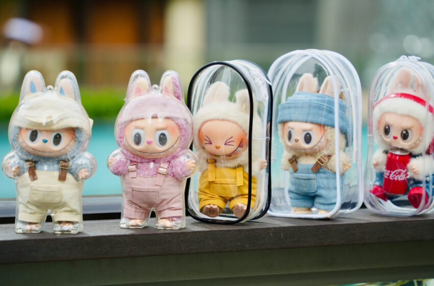 Labubu craze and $7,000 heist: Why the viral plush dolls are stolen