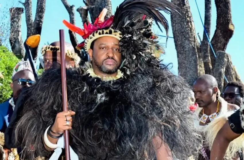  King Misuzulu faces major decision on R10 donation drive for Zulu Kingdom