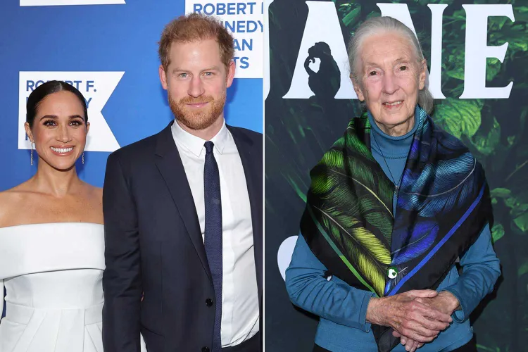  What did Prince Harry and Meghan Markle say about Jane Goodall?