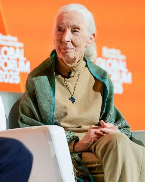  What happened to Jane Goodall? The woman who changed how humanity sees animals
