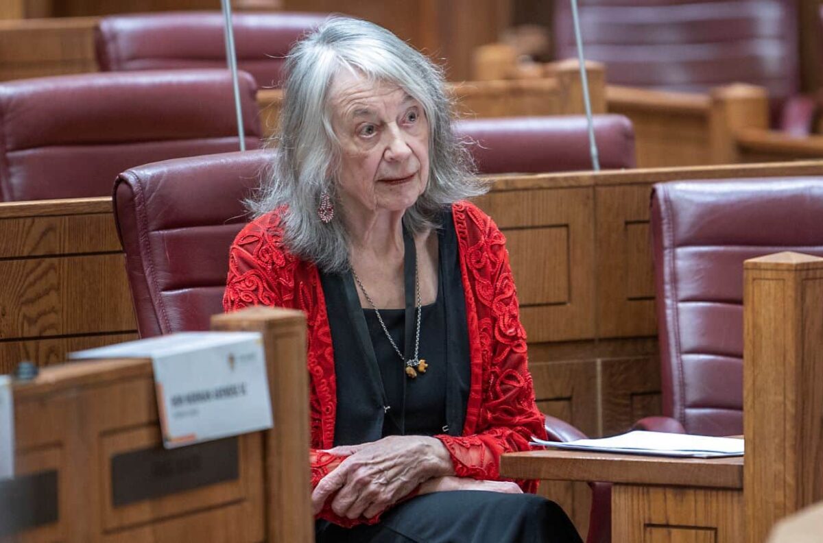  Mary de Haas exposes Bheki Cele: Shocking alleged political killings cover-up in SA Parliament