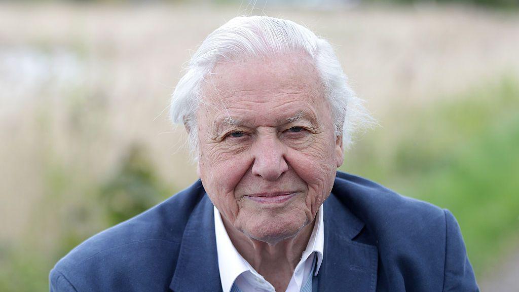 David Attenborough