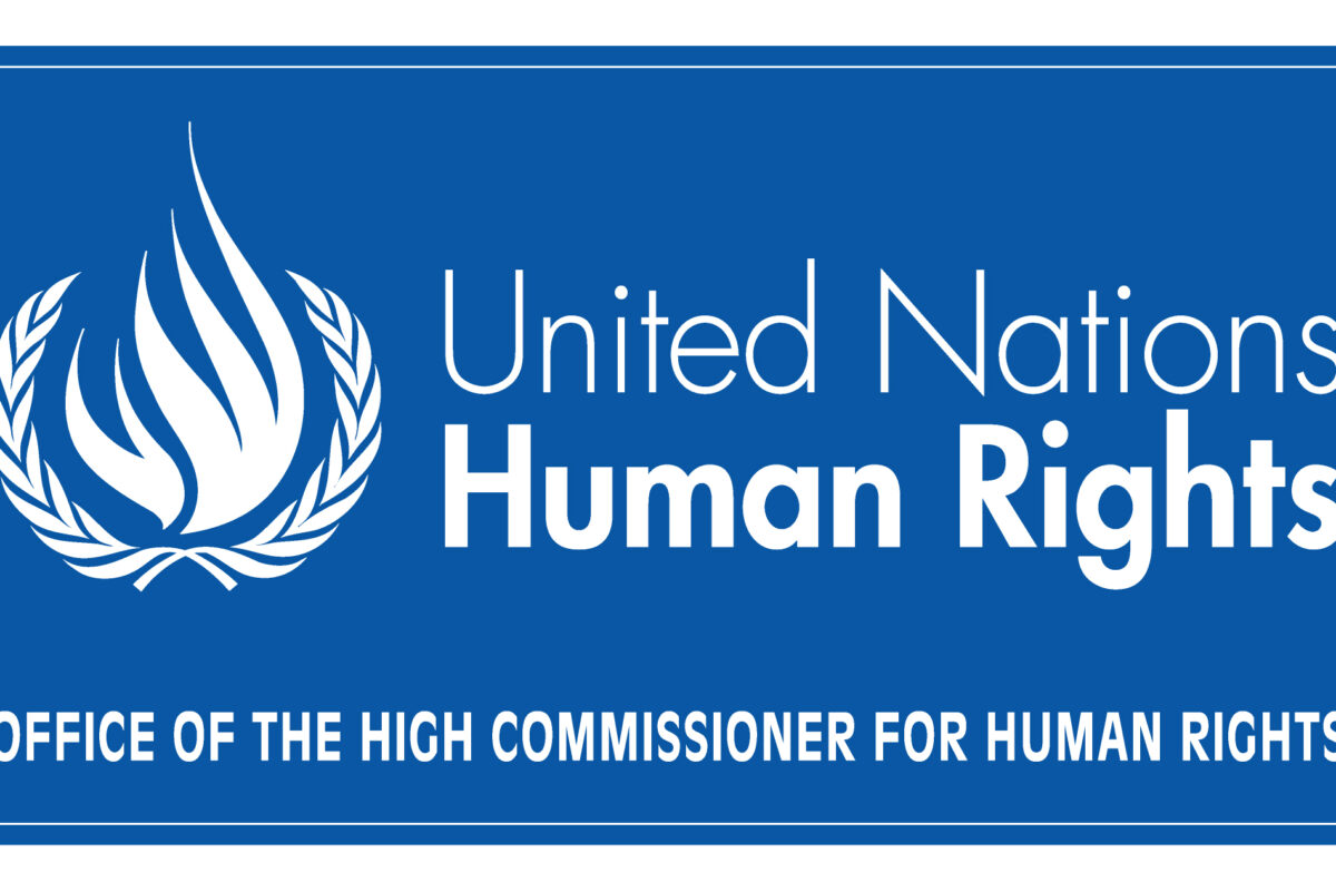  UN Human Rights 2026 International Contest for Minority Artists: How To Apply