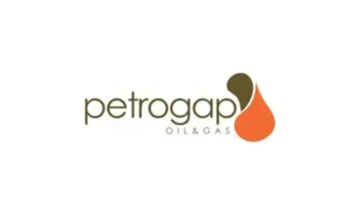  Petrogap Oil & Gas opens Accountant Role: How to Apply for the High Paying Job