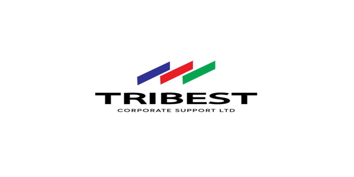  Office Assistant at Tribest Corporate Support: How to Apply for the Job with ₦250k Salary
