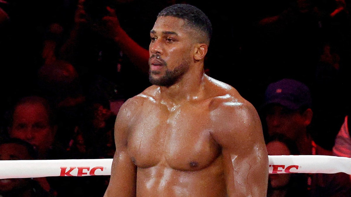 Anthony Joshua during his fight against Jake Paul on Dec. 19, 2025. (REUTERS/Marco Bello/File Photo)