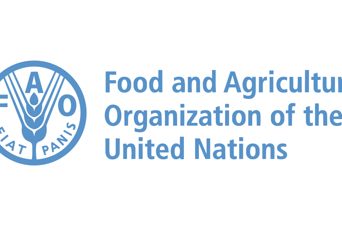  FAO opens high-level job in Abuja: Apply for Food Security Policy Analyst role