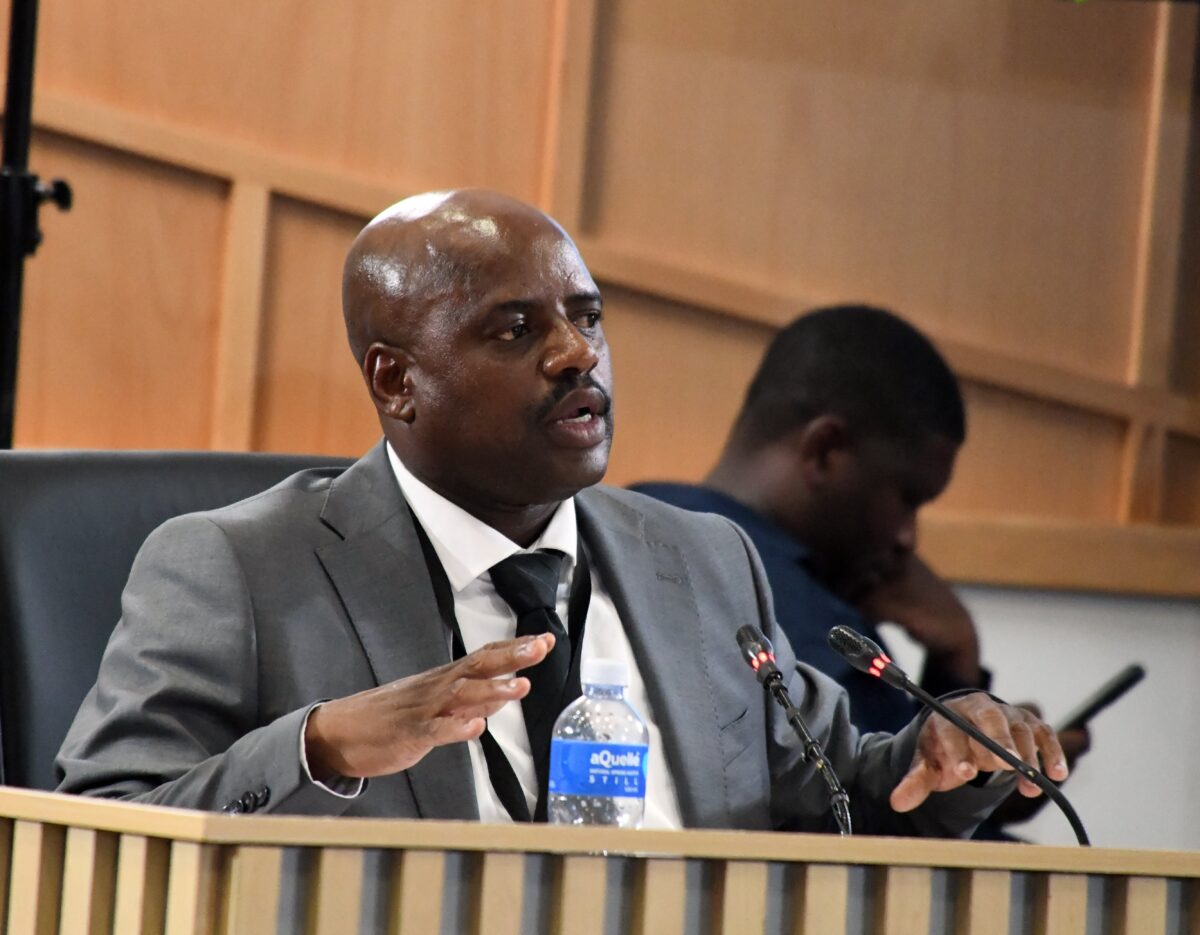 Julius Mkhwanazi confirms Matlala links in Parliament