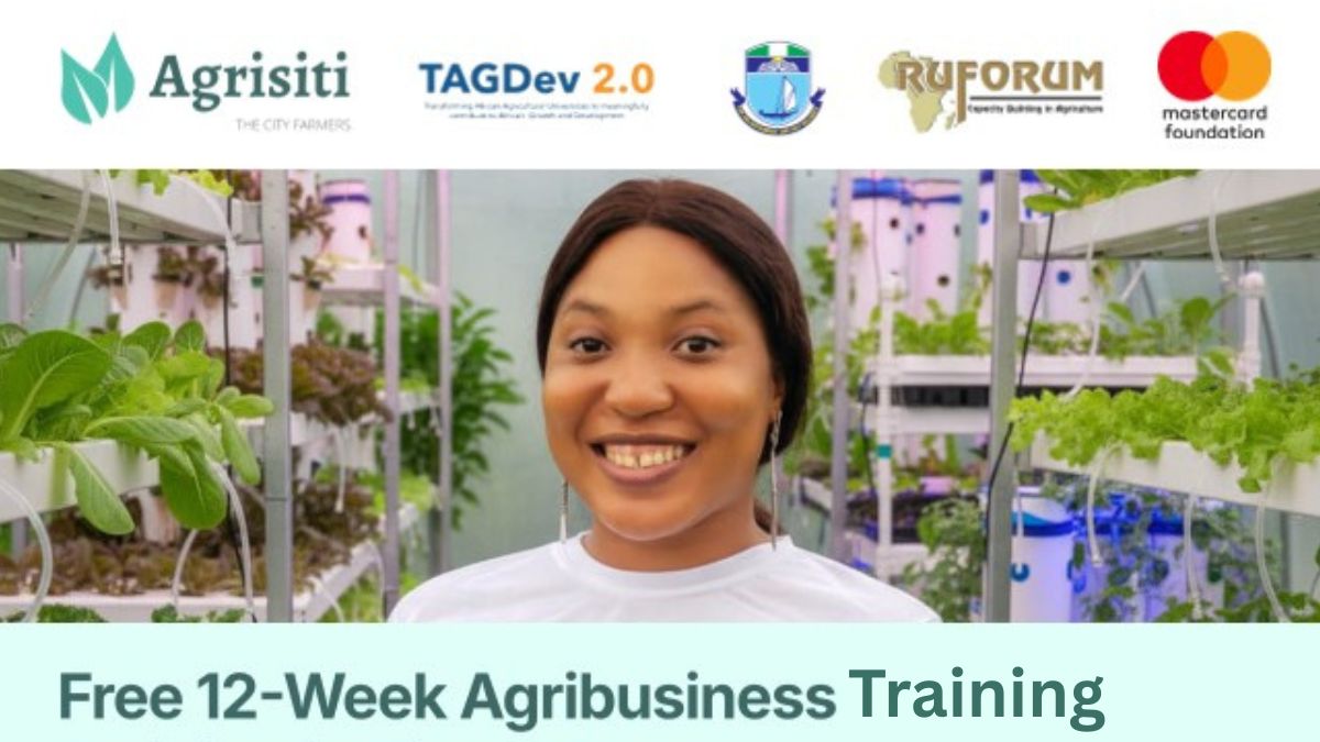  Mastercard Agrisiti Hybrid Digital Training Program 2026: How Young Africans can Apply 